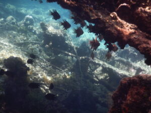 DSCN0072