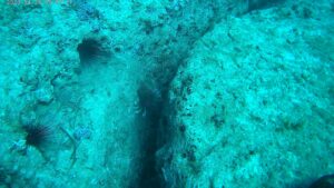 20230426_090717A