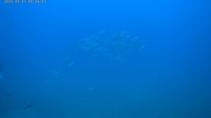 20230501_093452A